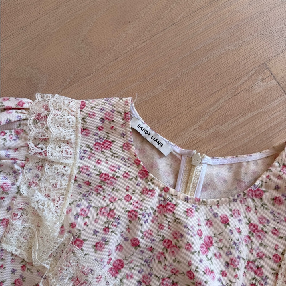 Sandy Liang Noche Dress in Pink Floral - Picture 4 of 5